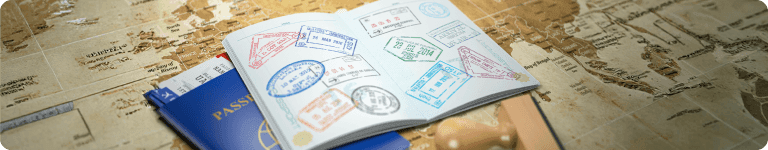 Long Term Visas (Category D)
